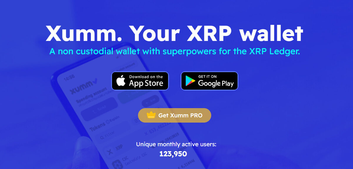 XRP Wallets and Storage: Safeguarding Your Cryptocurrency