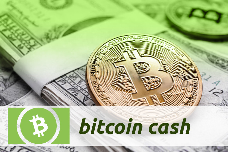 What do I need to know about Bitcoin Cash? | PayPal GB