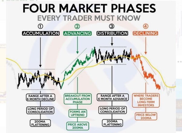 When Is the Next Crypto Bull Run Happening? | CoinCodex