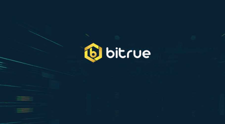 Bitrue Crypto Volume Data | Liquidity Finder